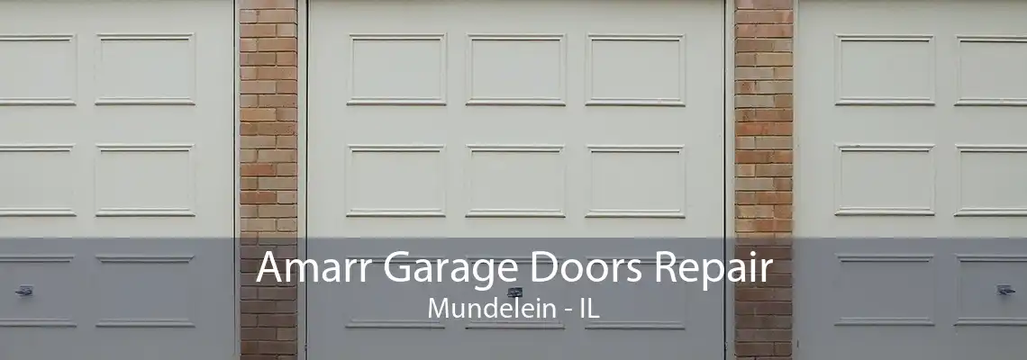 Amarr Garage Doors Repair Mundelein - IL