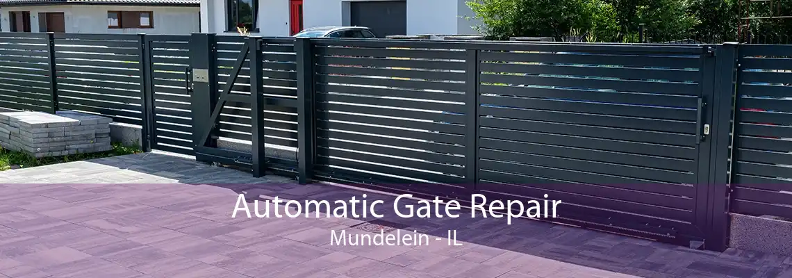 Automatic Gate Repair Mundelein - IL