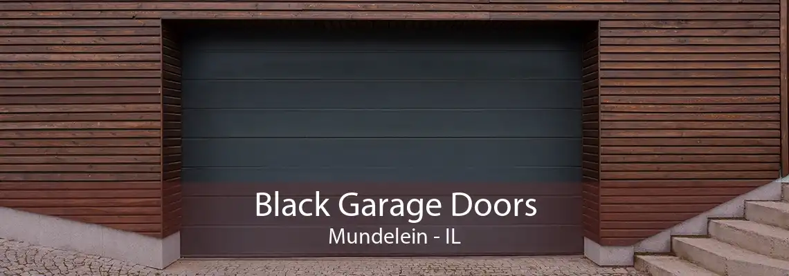 Black Garage Doors Mundelein - IL