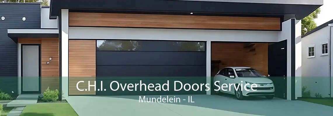 C.H.I. Overhead Doors Service Mundelein - IL