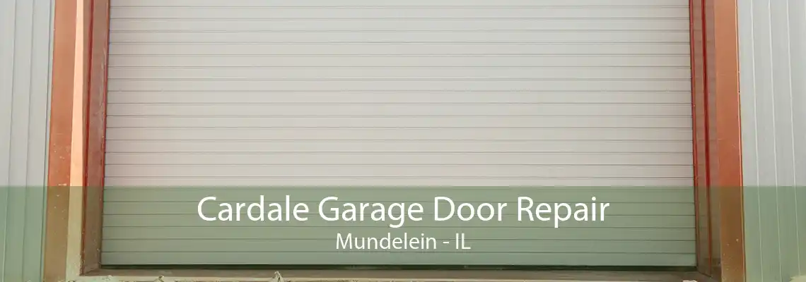 Cardale Garage Door Repair Mundelein - IL