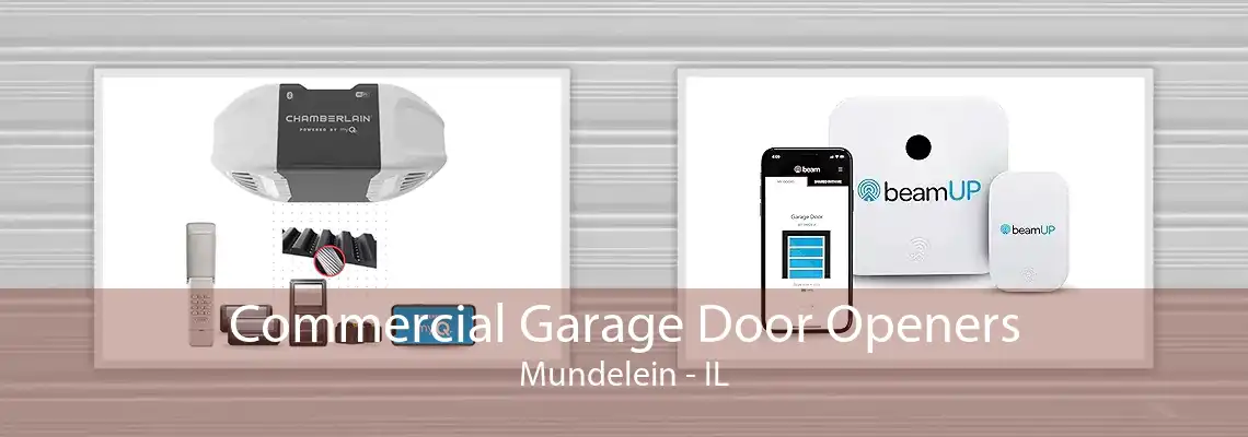 Commercial Garage Door Openers Mundelein - IL