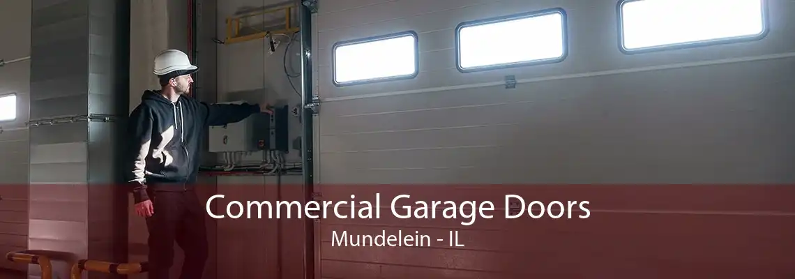 Commercial Garage Doors Mundelein - IL