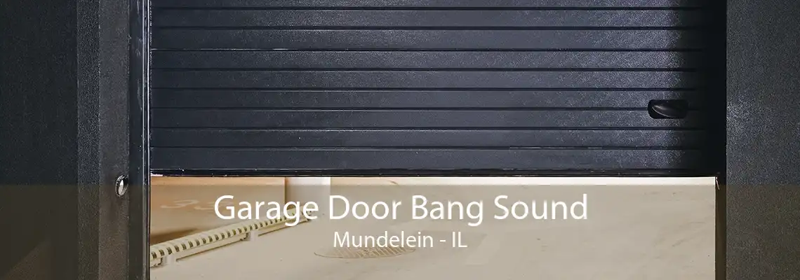 Garage Door Bang Sound Mundelein - IL