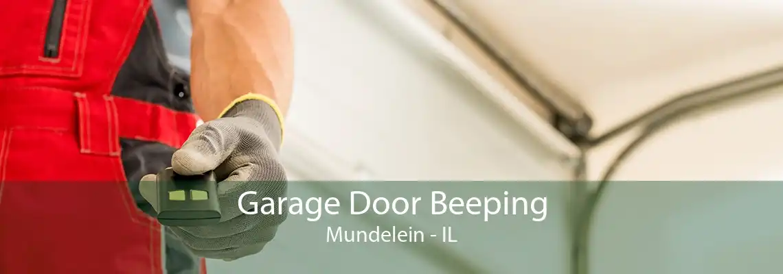 Garage Door Beeping Mundelein - IL