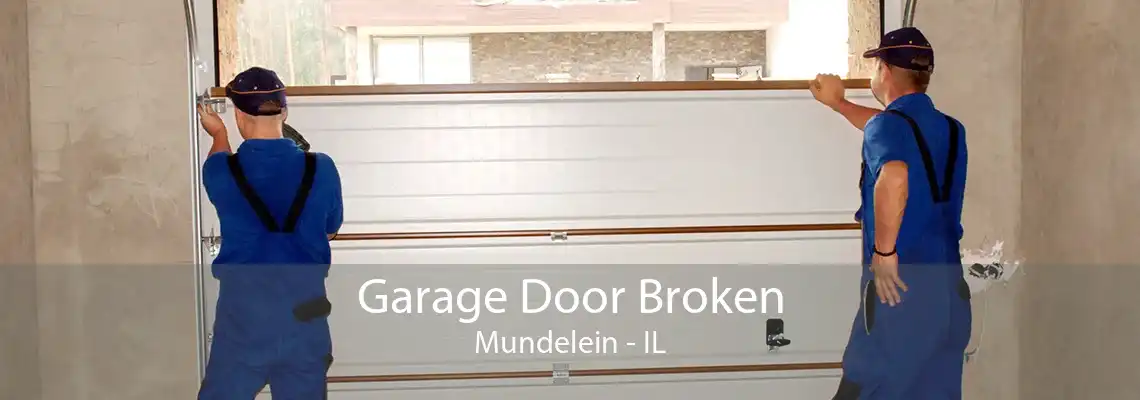 Garage Door Broken Mundelein - IL