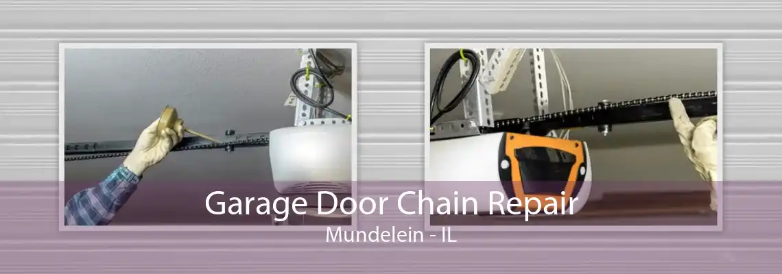 Garage Door Chain Repair Mundelein - IL