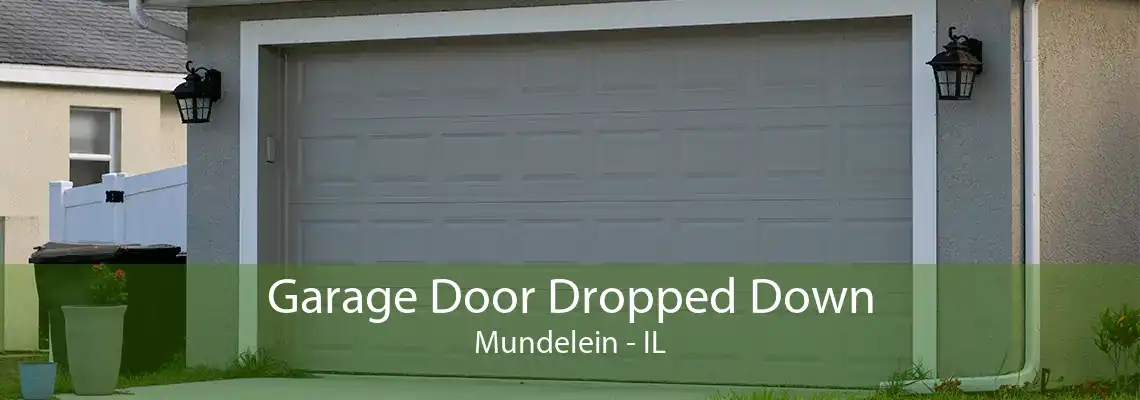 Garage Door Dropped Down Mundelein - IL