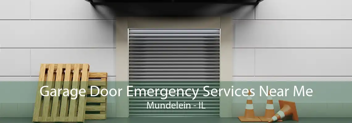 Garage Door Emergency Services Near Me Mundelein - IL