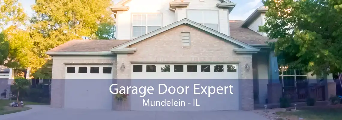 Garage Door Expert Mundelein - IL