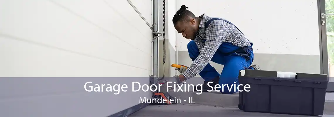 Garage Door Fixing Service Mundelein - IL