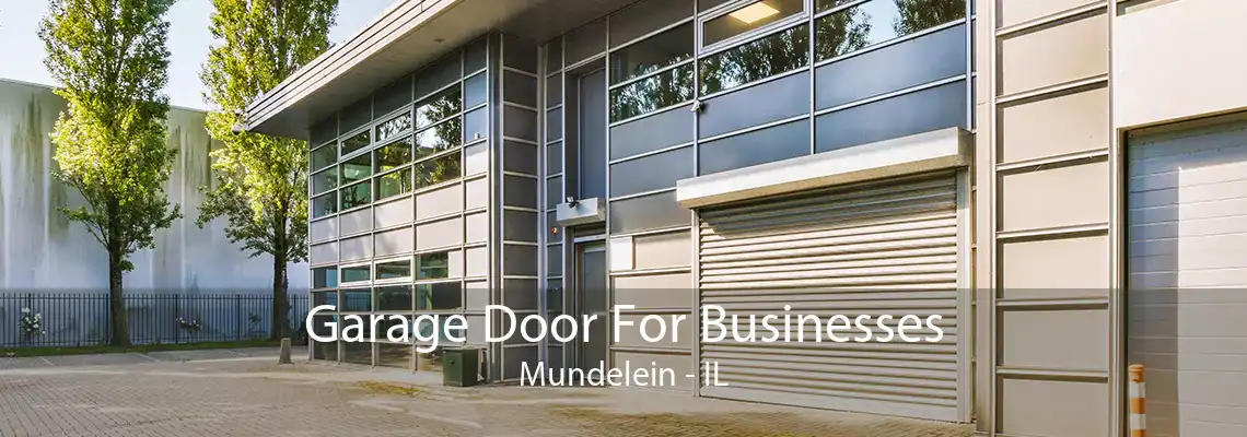 Garage Door For Businesses Mundelein - IL