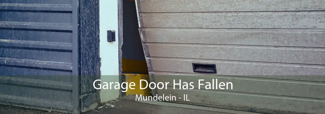 Garage Door Has Fallen Mundelein - IL