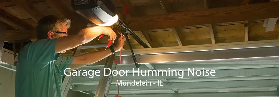 Garage Door Humming Noise Mundelein - IL