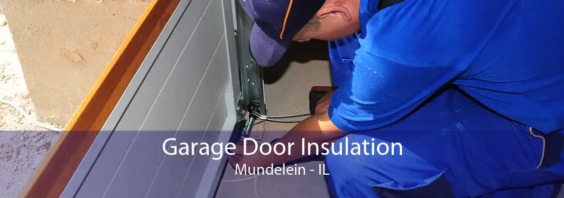 Garage Door Insulation Mundelein - IL