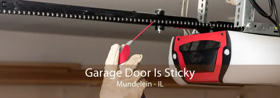 Garage Door Is Sticky Mundelein - IL