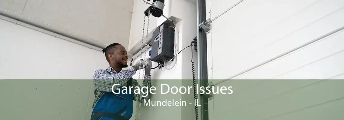 Garage Door Issues Mundelein - IL