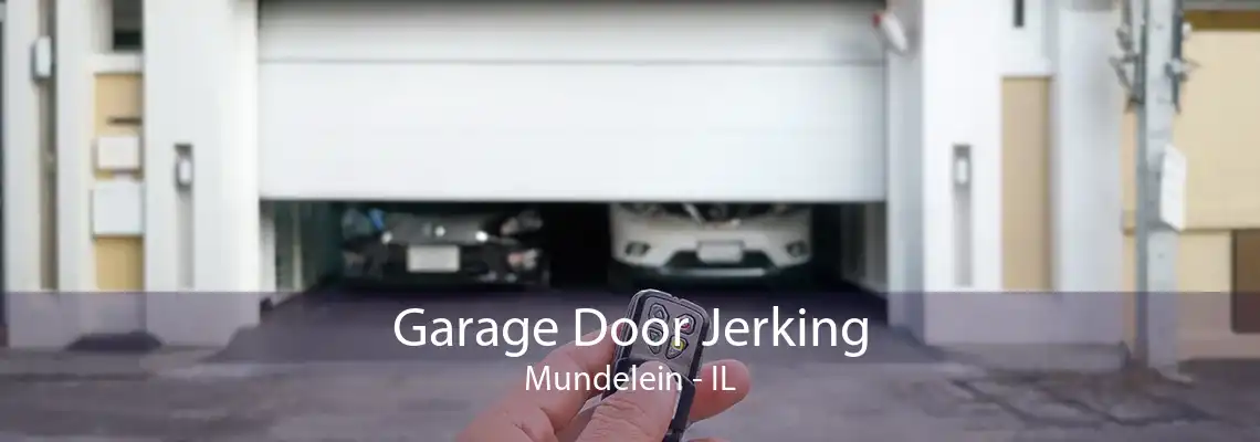 Garage Door Jerking Mundelein - IL