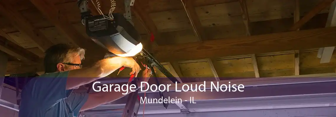 Garage Door Loud Noise Mundelein - IL