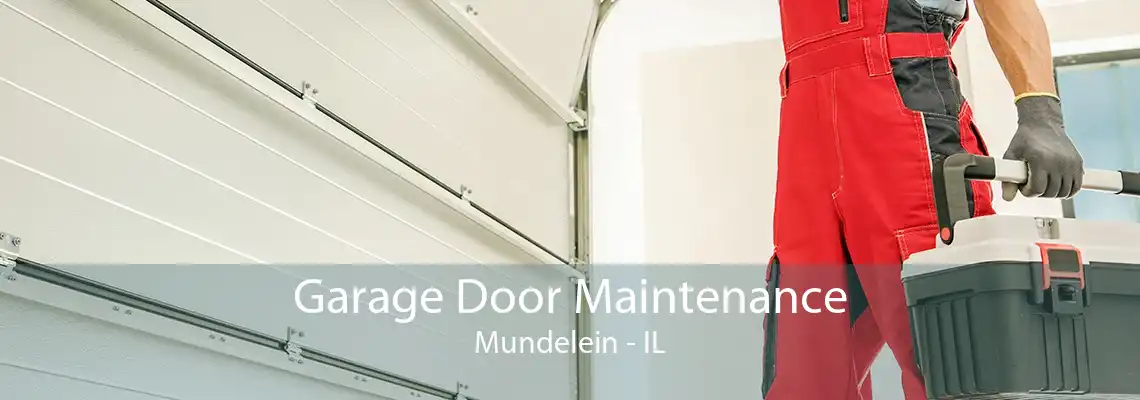 Garage Door Maintenance Mundelein - IL