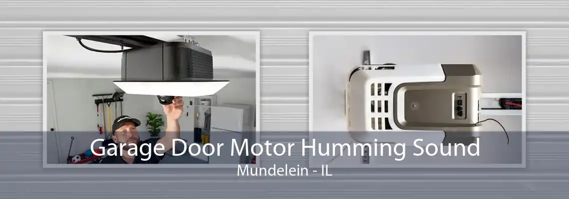 Garage Door Motor Humming Sound Mundelein - IL