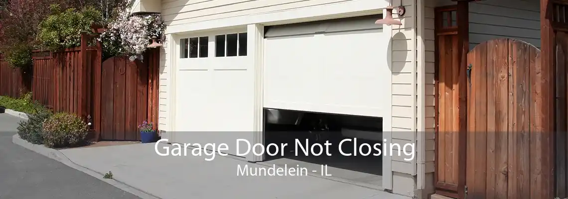 Garage Door Not Closing Mundelein - IL