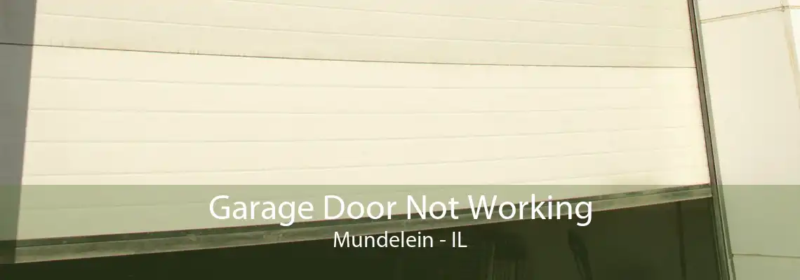 Garage Door Not Working Mundelein - IL