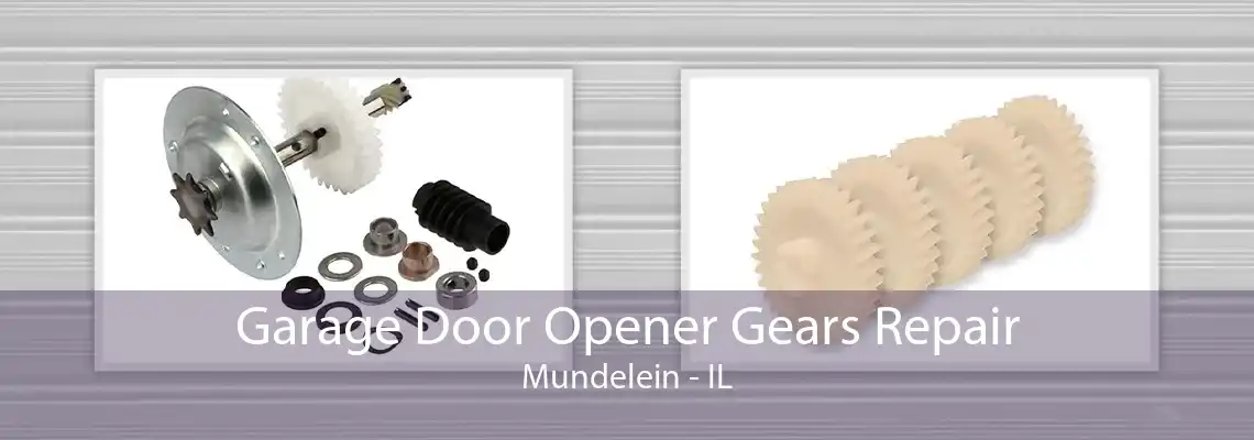 Garage Door Opener Gears Repair Mundelein - IL