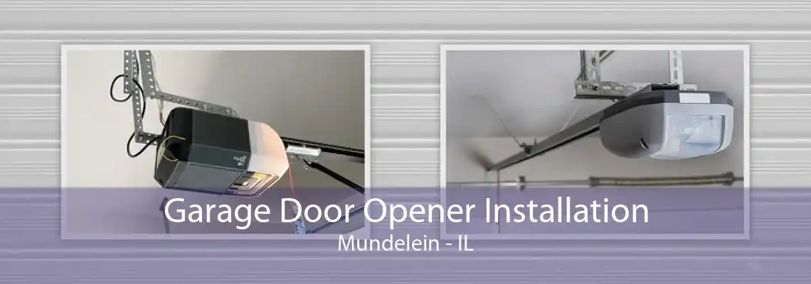 Garage Door Opener Installation Mundelein - IL