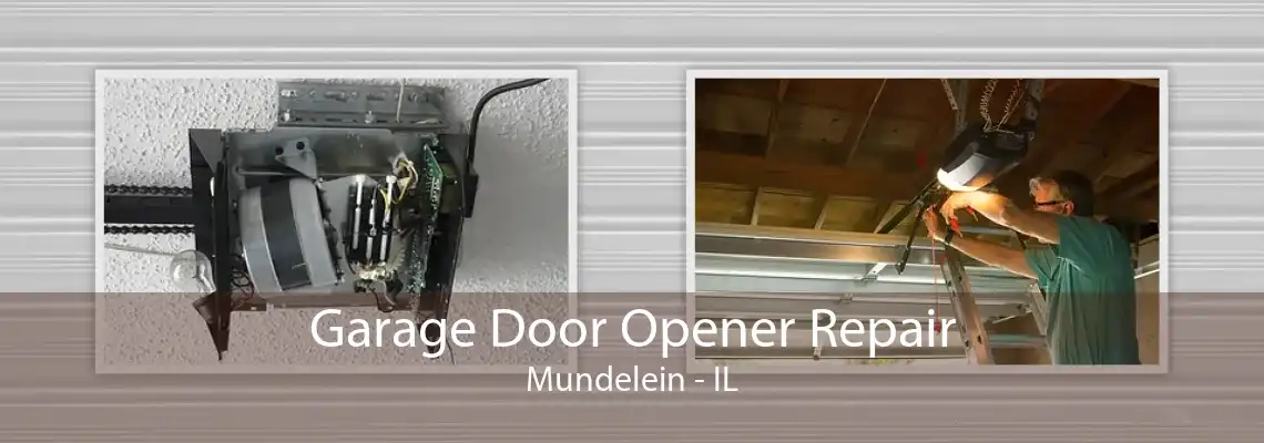 Garage Door Opener Repair Mundelein - IL