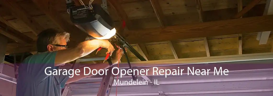 Garage Door Opener Repair Near Me Mundelein - IL