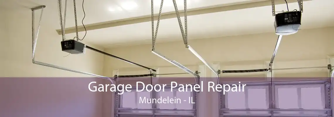 Garage Door Panel Repair Mundelein - IL