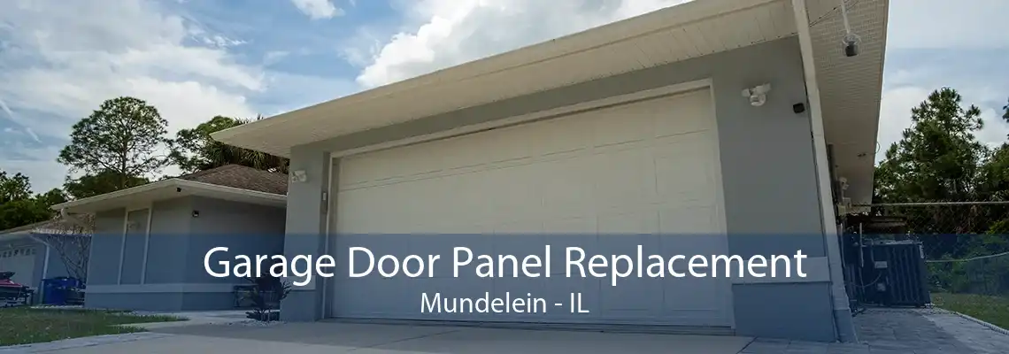 Garage Door Panel Replacement Mundelein - IL