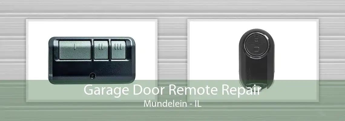 Garage Door Remote Repair Mundelein - IL