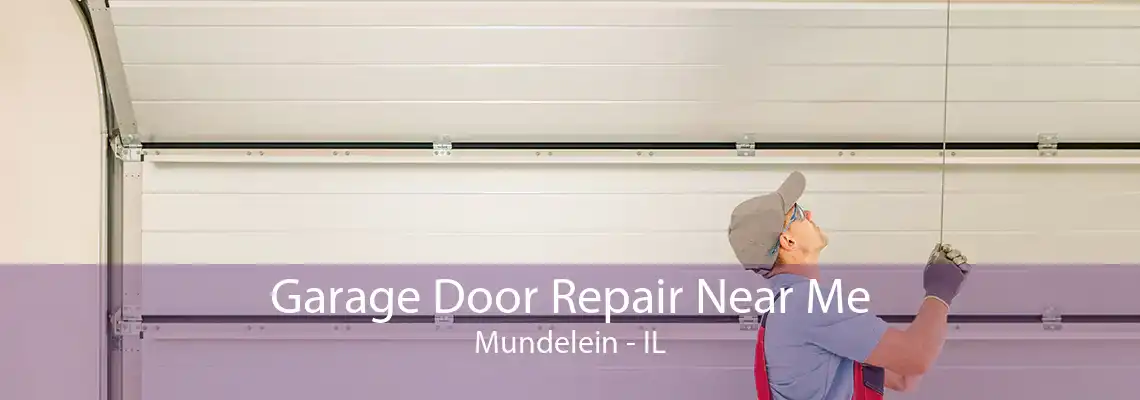 Garage Door Repair Near Me Mundelein - IL