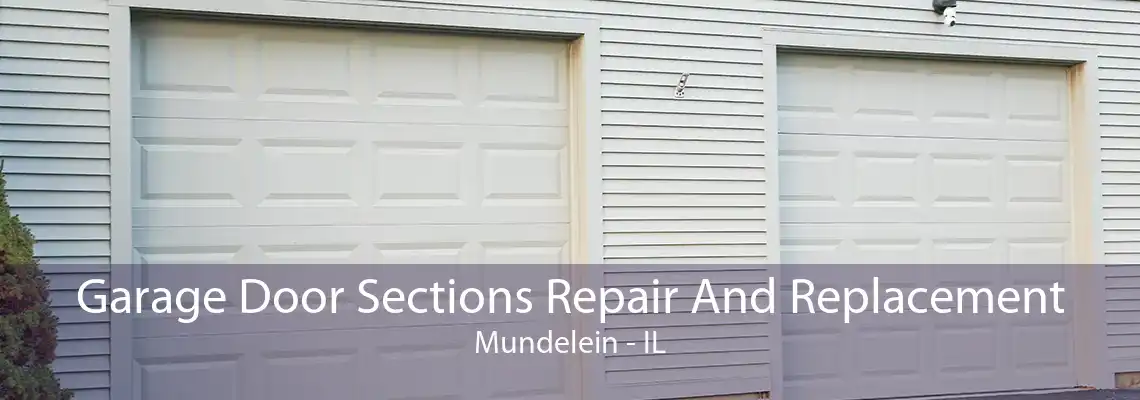 Garage Door Sections Repair And Replacement Mundelein - IL