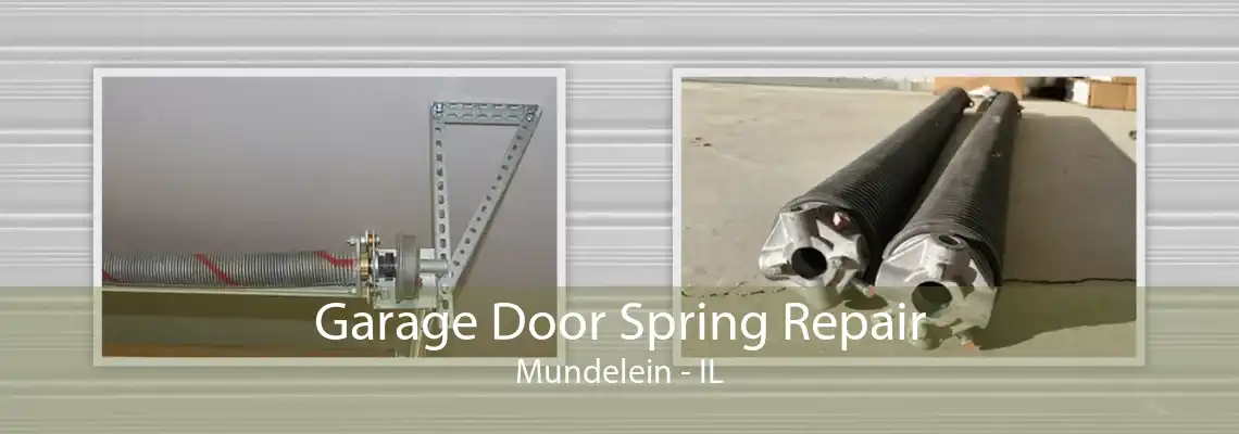 Garage Door Spring Repair Mundelein - IL