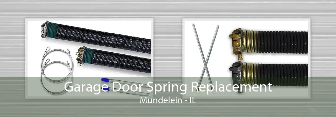 Garage Door Spring Replacement Mundelein - IL