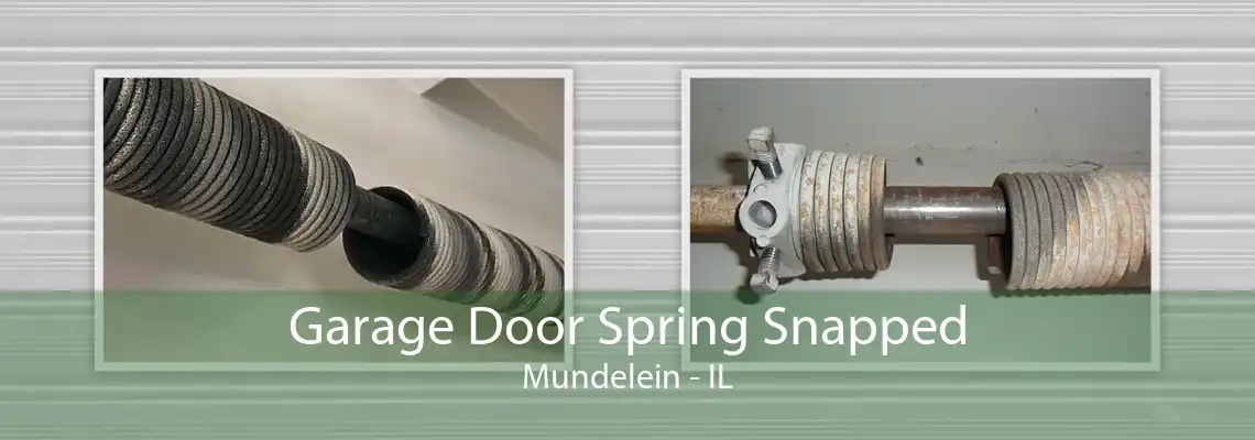 Garage Door Spring Snapped Mundelein - IL