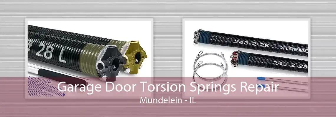 Garage Door Torsion Springs Repair Mundelein - IL