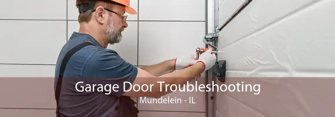 Garage Door Troubleshooting Mundelein - IL