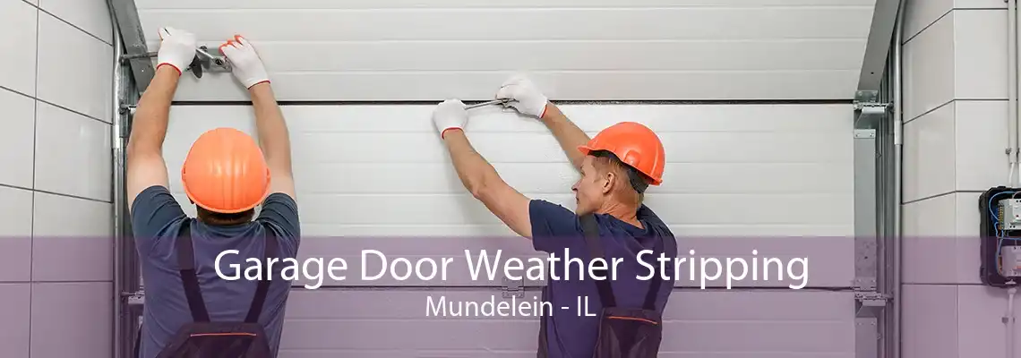 Garage Door Weather Stripping Mundelein - IL