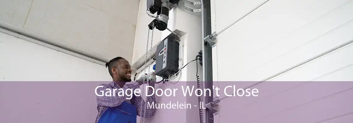 Garage Door Won't Close Mundelein - IL