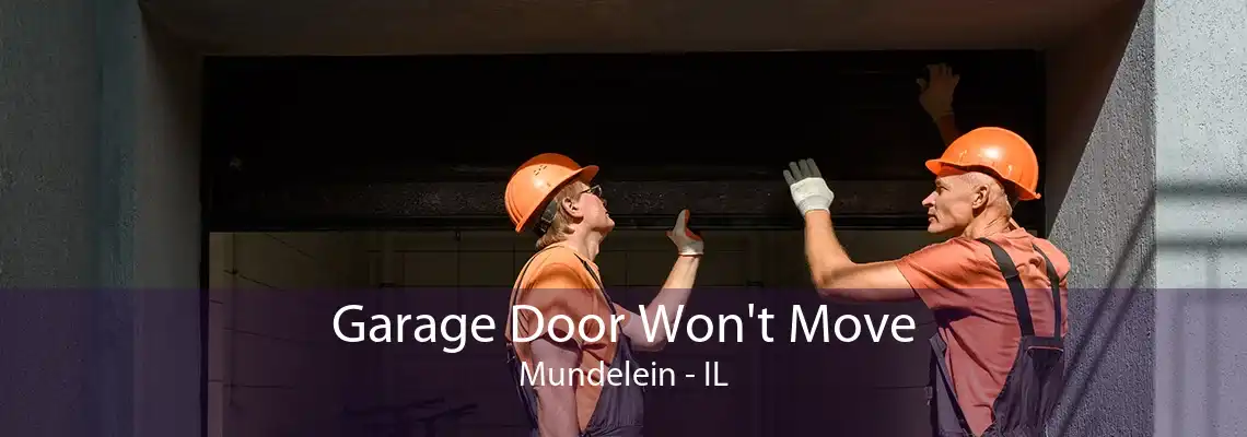 Garage Door Won't Move Mundelein - IL