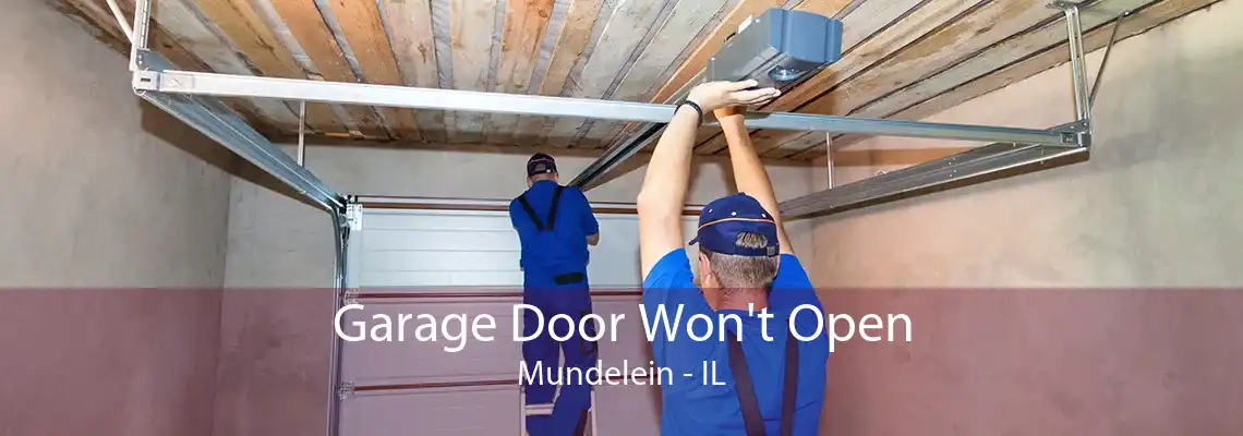 Garage Door Won't Open Mundelein - IL