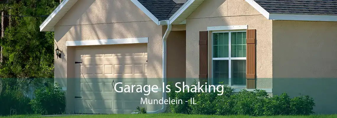 Garage Is Shaking Mundelein - IL