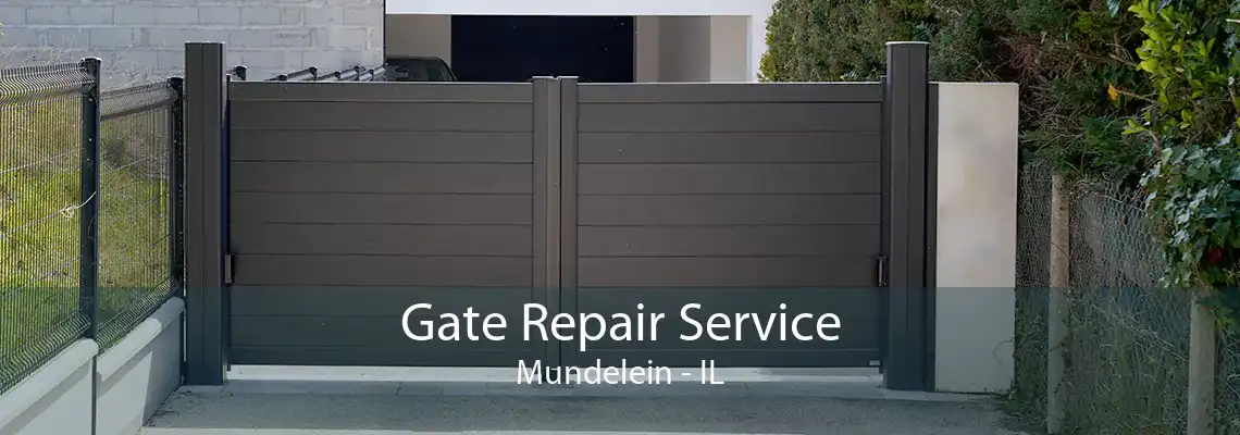 Gate Repair Service Mundelein - IL