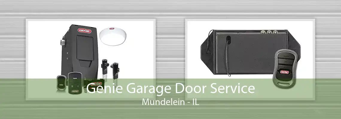 Genie Garage Door Service Mundelein - IL