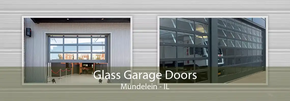 Glass Garage Doors Mundelein - IL