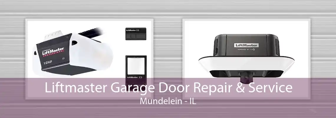 Liftmaster Garage Door Repair & Service Mundelein - IL